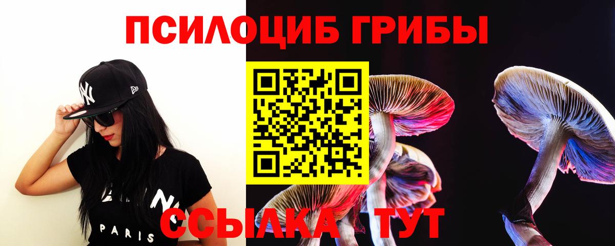 Галлюциногенные грибы Cubensis  Вход с VPN  где можно купить наркотик  Строитель 